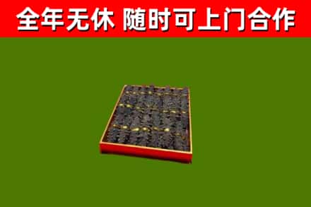 濮阳回收海参